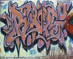 RAPS