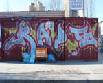 RAPS