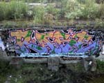 RASE