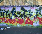RASE