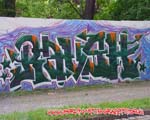 RAUSH
