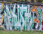 RAUSH