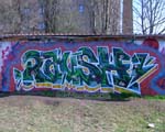 RAUSH