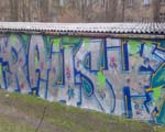 RAUSH