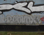 REDFOX