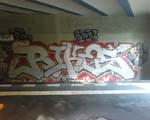 RIKES