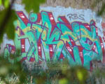 RIKES