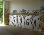 RINGO