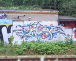 ROY