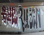 RubiN