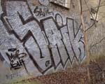 SAIK