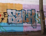 SALK