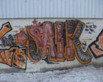 SALK
