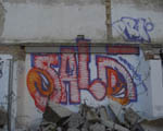 SALK