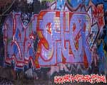 SAUER