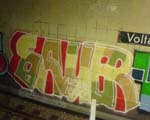SAUER