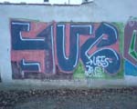 SAUER