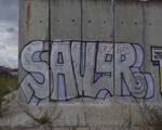 SAUER