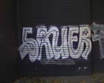 SAUER