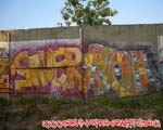 SAUER