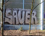 SAUER