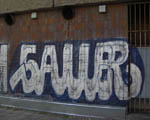 SAUER
