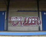 SAUER