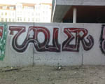 SAUER