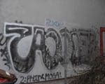 SAUER