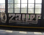 SAUER
