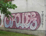 SAUER