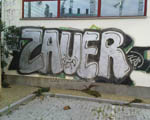 SAUER