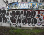SAUER