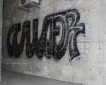 SAUER
