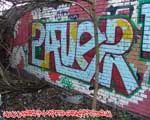 SAUER