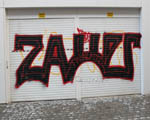 SAUER