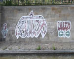 SAUER