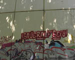 SAUER