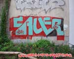 SAUER