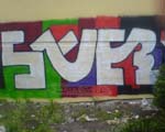 SAUER