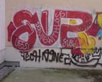 SAUER