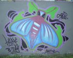 SCAM / HAPPY B-DAY MOTTE