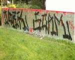 VORK / SCAM