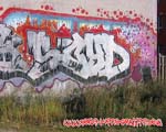 SCYD