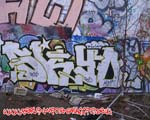 SCYD