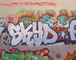 SCYD