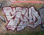 SCYD