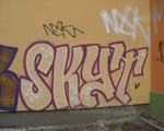 SCYD