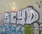 SCYD