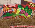 SEAR